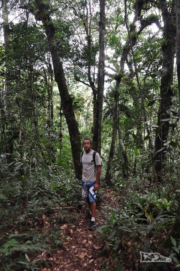 Trilha da cachoeira do rio Vermelho, na Várzea do Braço, em Santo Amaro da Imperatriz, perto de Florianópolis, em Santa Catarina